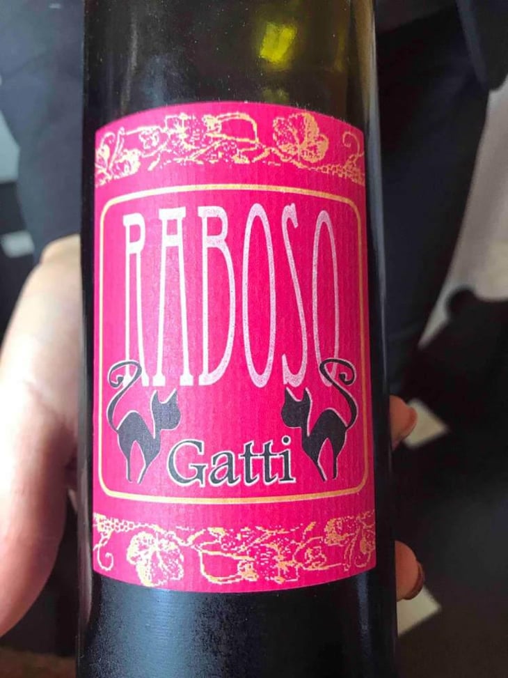 Raboso - Azienda Agricola Gatti - Carolina Gatti 