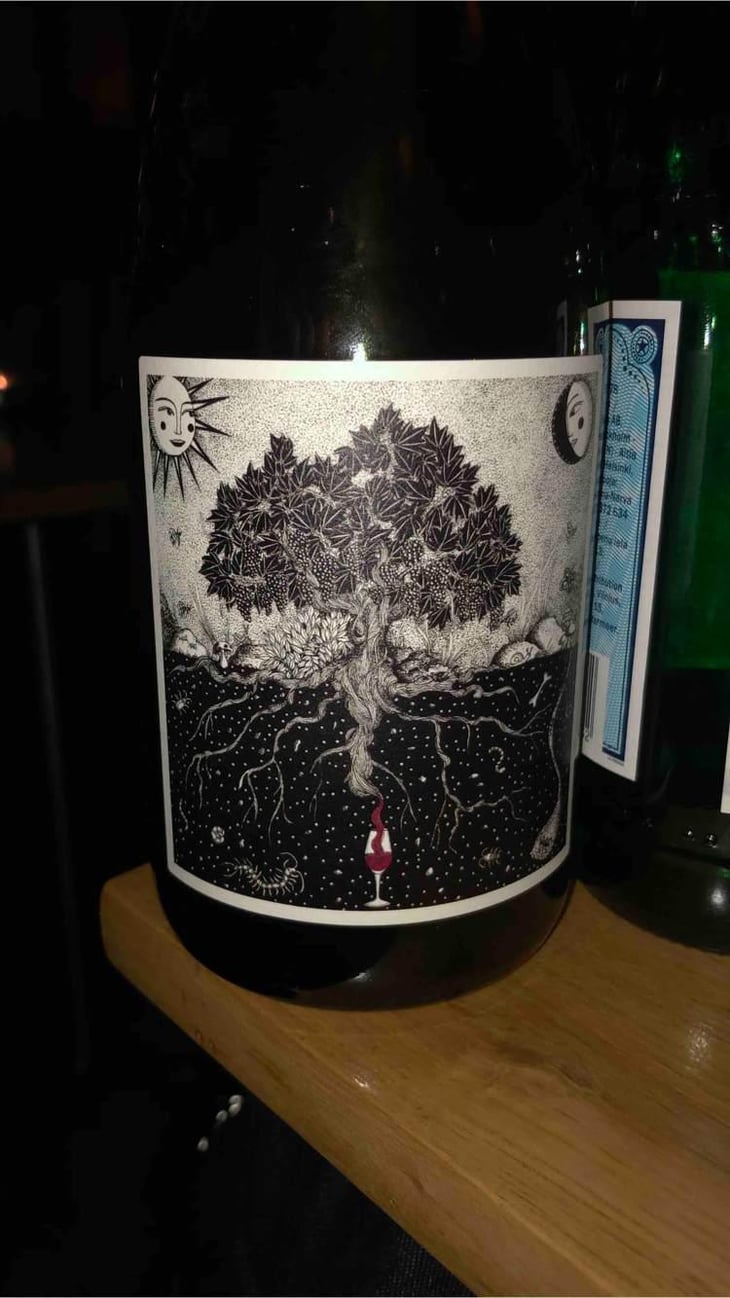 Carignan Radical - Pèira Levada - Alexandre Durand 