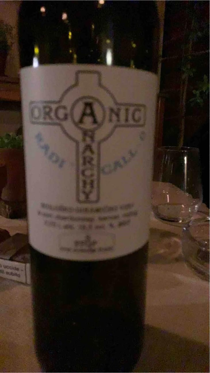 Radicall - Organic Anarchy - Aci Urbajs -2021