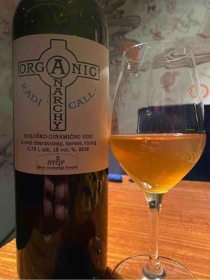 Radicall - Organic Anarchy - Aci Urbajs -2021