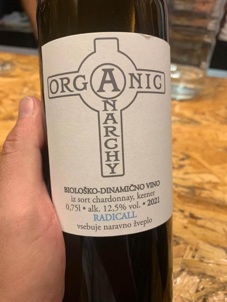 Radicall - Organic Anarchy - Aci Urbajs -2021
