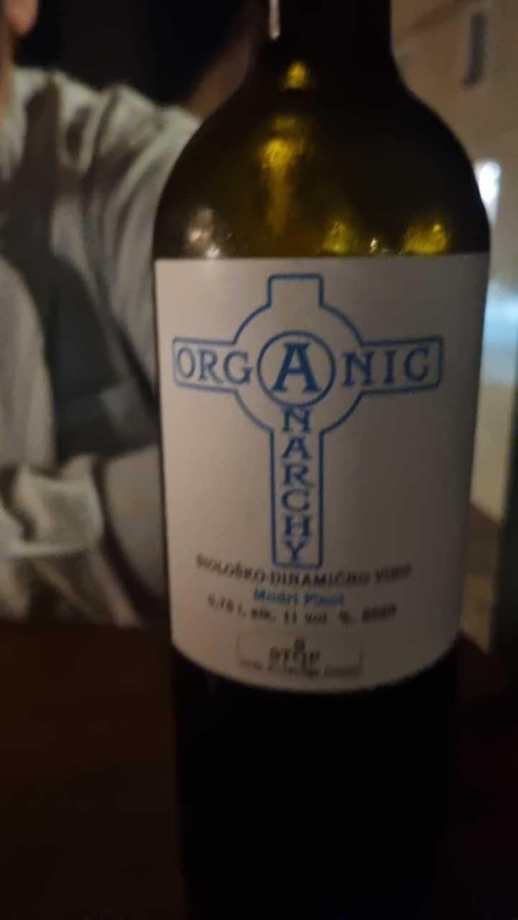 Radicall - Organic Anarchy - Aci Urbajs -2021