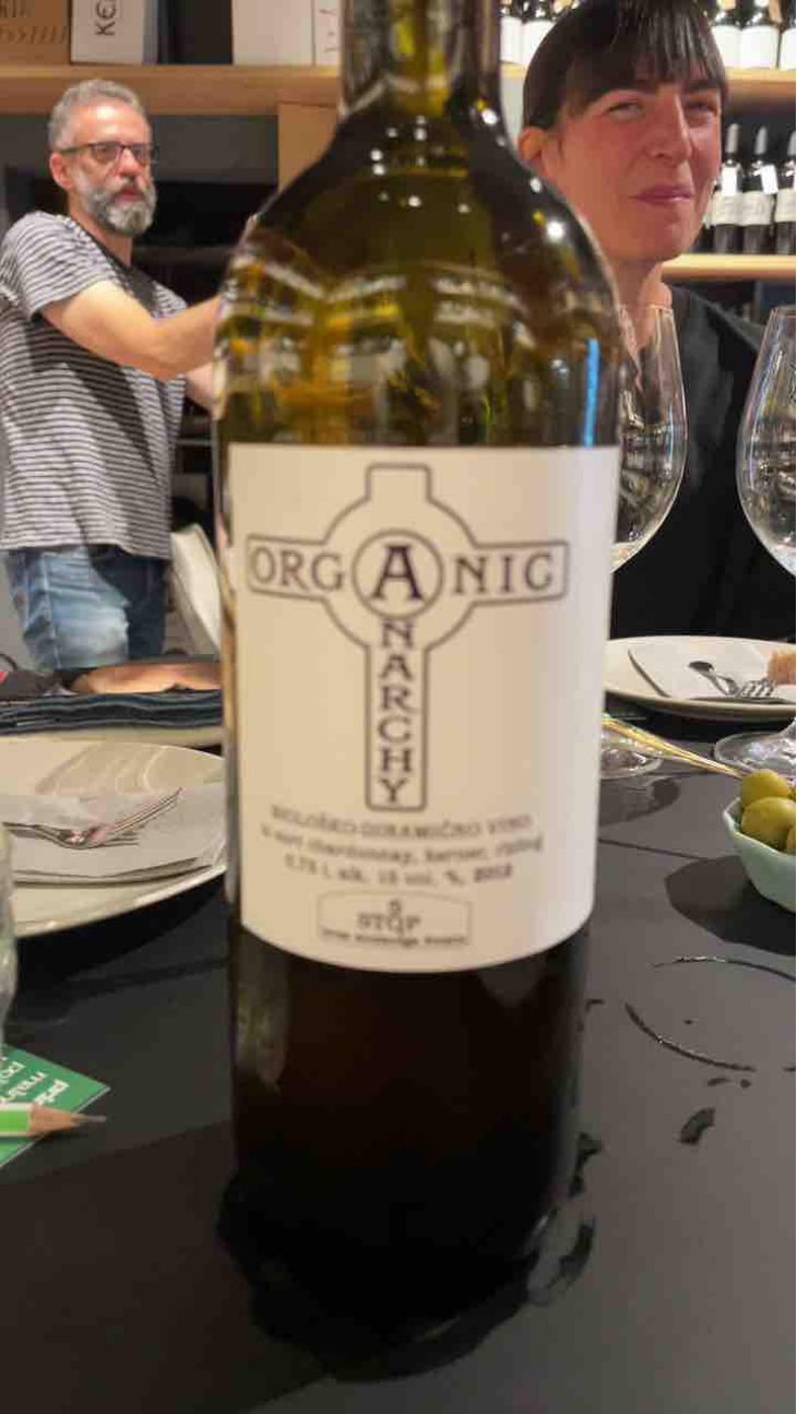 Radicall - Organic Anarchy - Aci Urbajs -2021