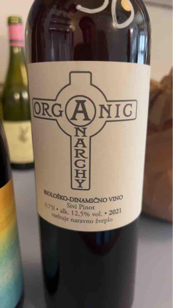 Radicall S - Organic Anarchy - Aci Urbajs 