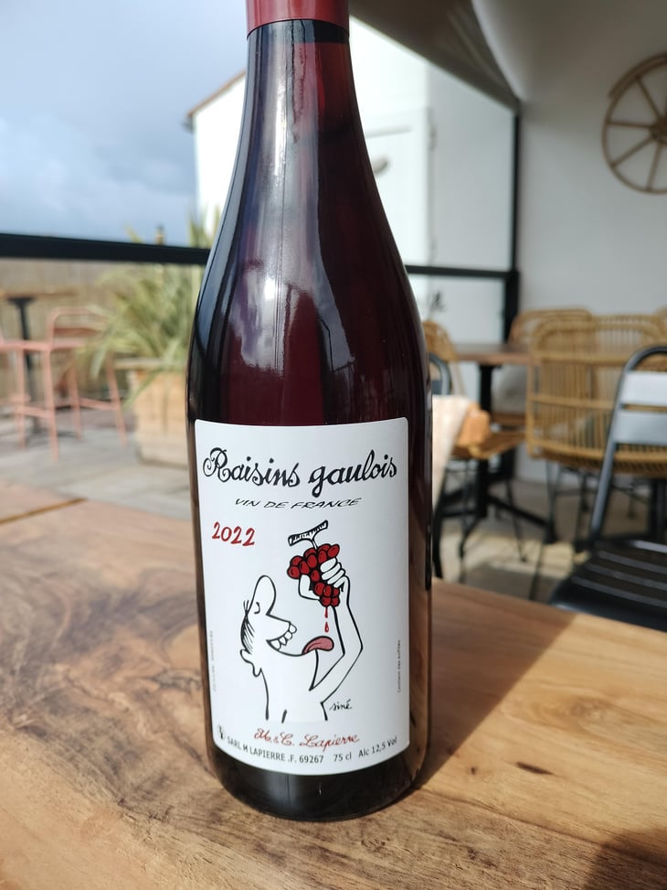 Raisins Gaulois - Domaine Marcel Lapierre - Mathieu & Camille Lapierre 