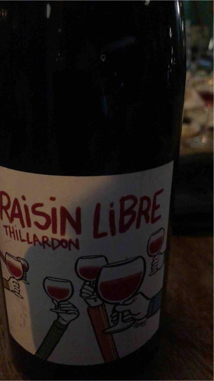 Raisin Libre - Domaine Thillardon - Aude, Jean-Baptiste, Charles et Paul-Henri Thillardon 