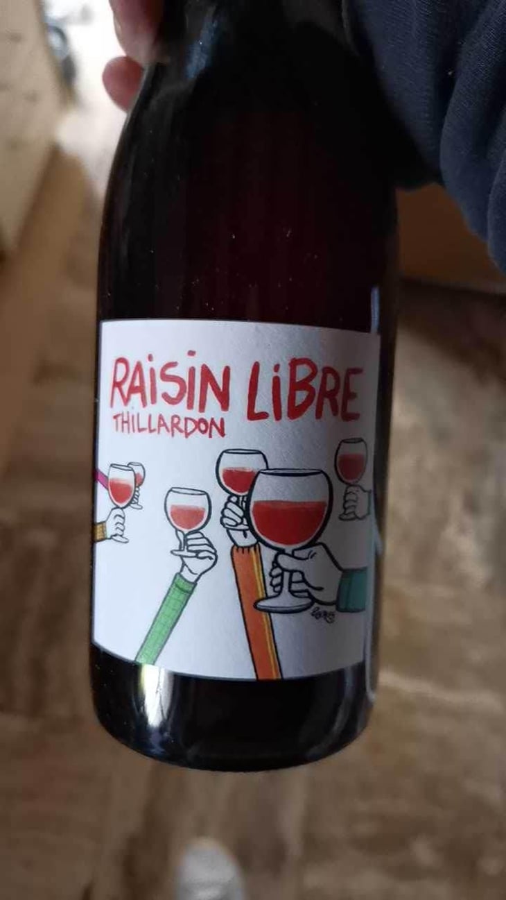Raisin Libre - Domaine Thillardon - Aude, Jean-Baptiste, Charles et Paul-Henri Thillardon 