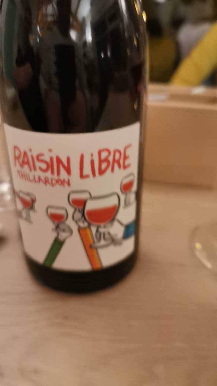 Raisin Libre - Domaine Thillardon - Aude, Jean-Baptiste, Charles et Paul-Henri Thillardon 