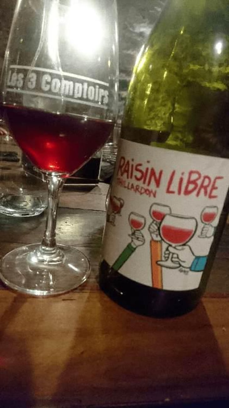 Raisin Libre - Domaine Thillardon - Aude, Jean-Baptiste, Charles et Paul-Henri Thillardon 