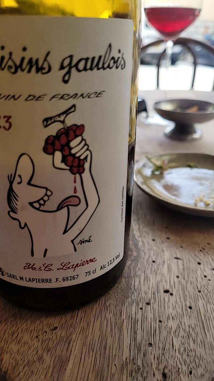 Raisins Gaulois - Domaine Marcel Lapierre - Mathieu & Camille Lapierre 
