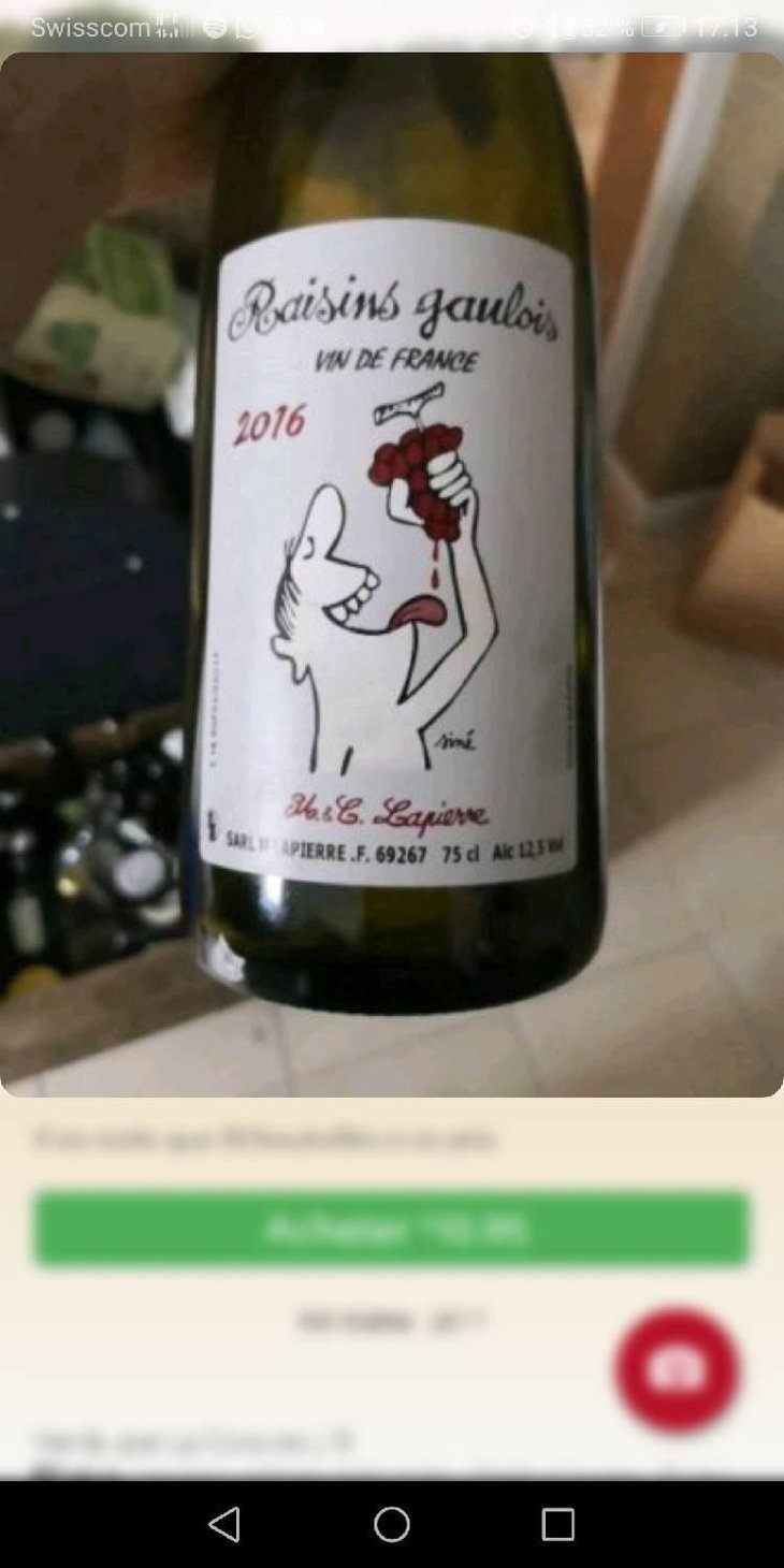 Raisins Gaulois - Domaine Marcel Lapierre - Mathieu & Camille Lapierre 