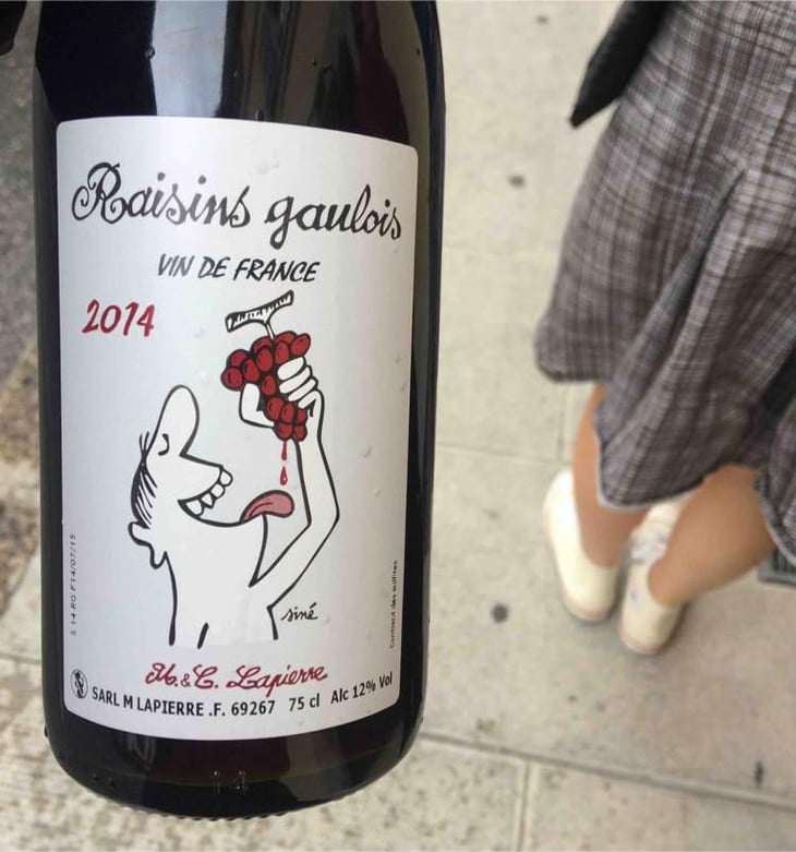 Raisins Gaulois - Domaine Marcel Lapierre - Mathieu & Camille Lapierre 