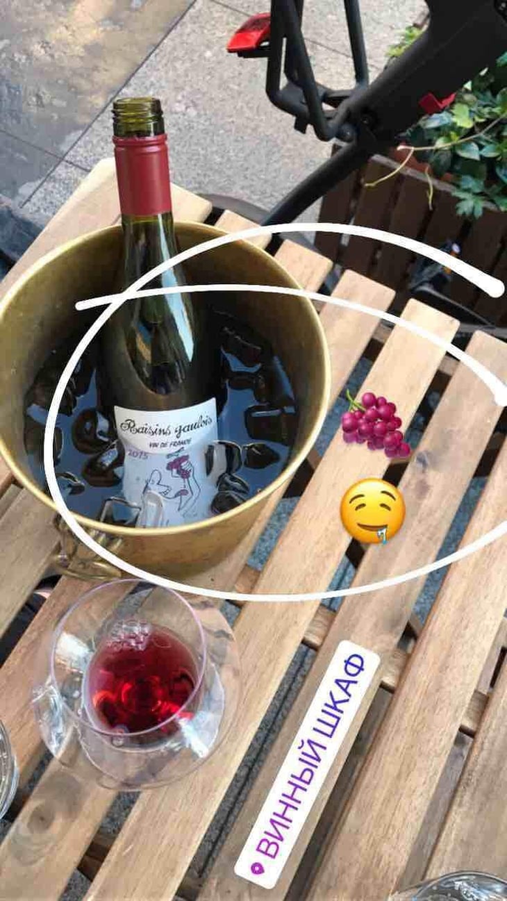 Raisins Gaulois - Domaine Marcel Lapierre - Mathieu & Camille Lapierre 