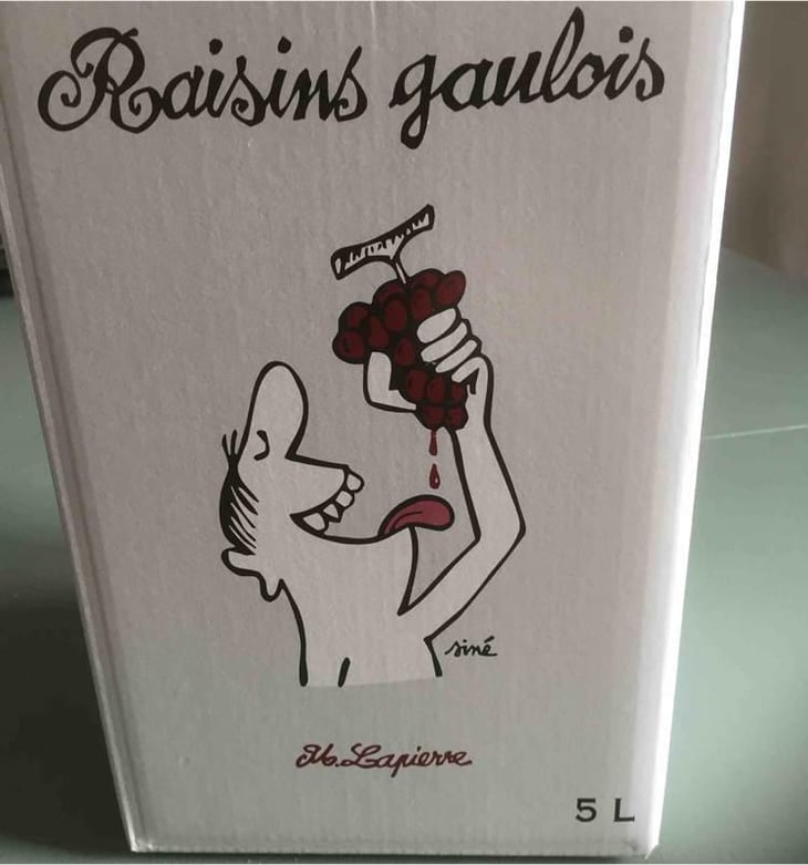 Raisins Gaulois - Domaine Marcel Lapierre - Mathieu & Camille Lapierre 