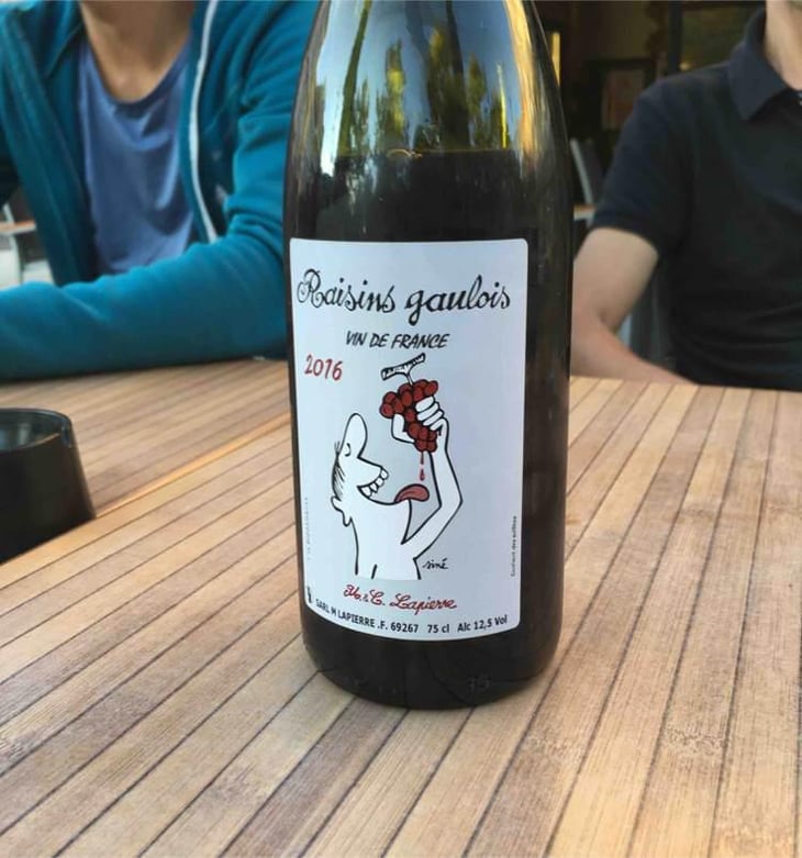 Raisins Gaulois - Domaine Marcel Lapierre - Mathieu & Camille Lapierre 
