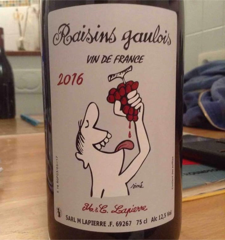 Raisins Gaulois - Domaine Marcel Lapierre - Mathieu & Camille Lapierre 