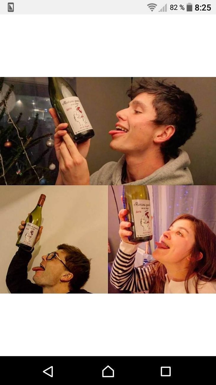 Raisins Gaulois - Domaine Marcel Lapierre - Mathieu & Camille Lapierre 