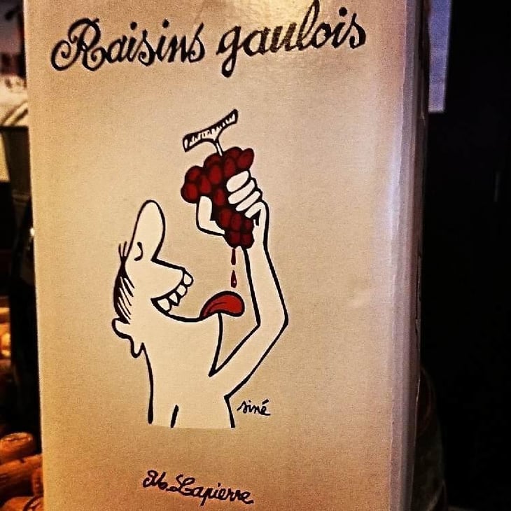 Raisins Gaulois - Domaine Marcel Lapierre - Mathieu & Camille Lapierre 