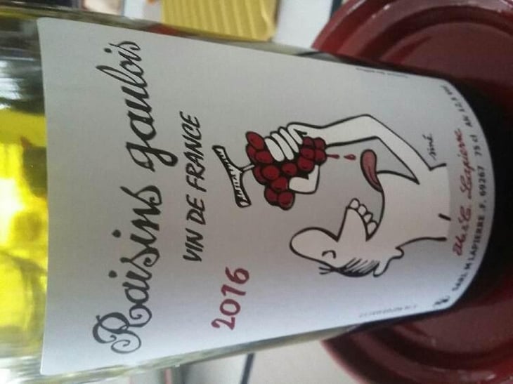 Raisins Gaulois - Domaine Marcel Lapierre - Mathieu & Camille Lapierre 
