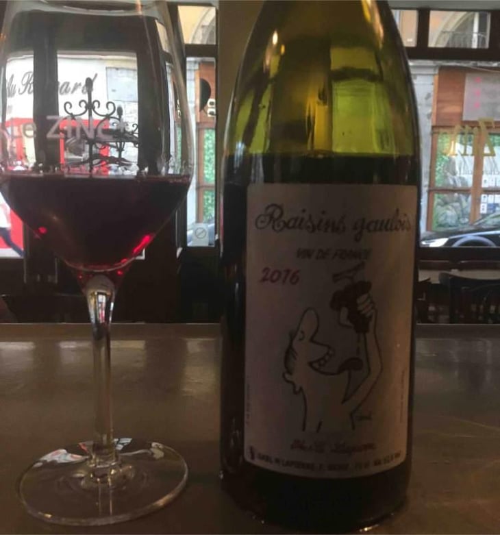 Raisins Gaulois - Domaine Marcel Lapierre - Mathieu & Camille Lapierre 