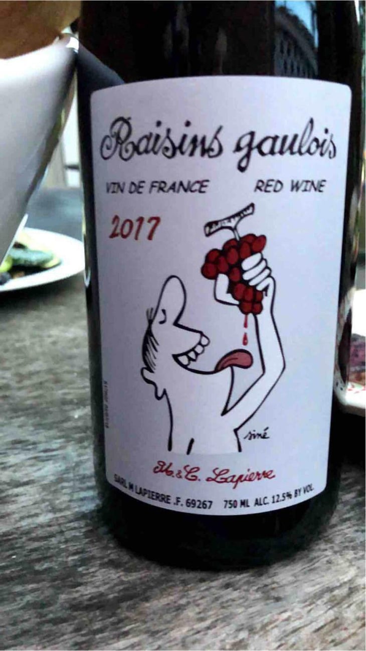Raisins Gaulois - Domaine Marcel Lapierre - Mathieu & Camille Lapierre 