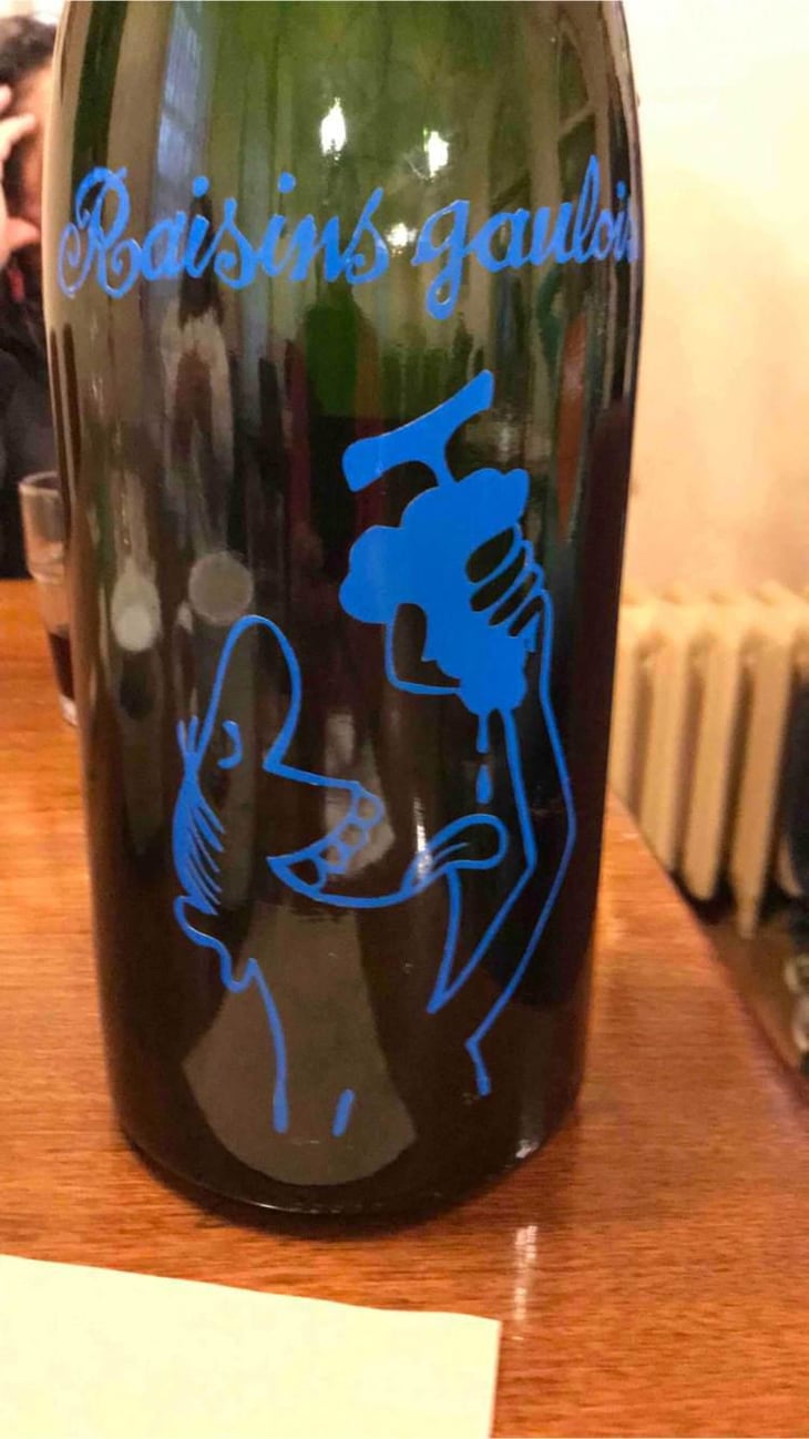 Raisins Gaulois - Domaine Marcel Lapierre - Mathieu & Camille Lapierre 