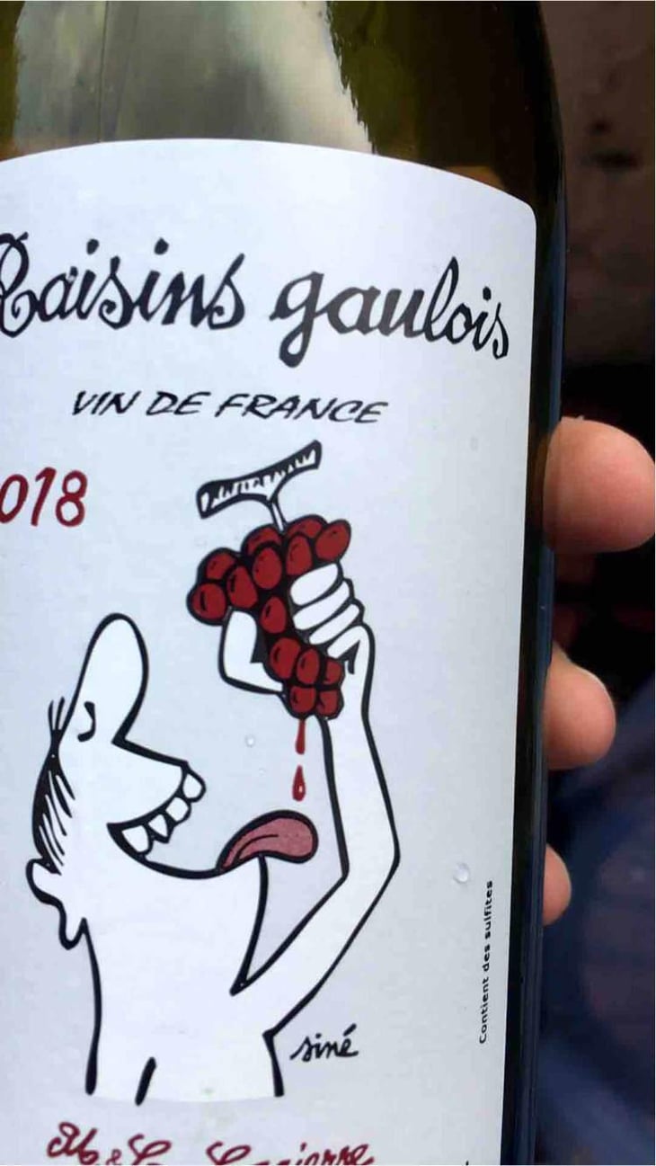 Raisins Gaulois - Domaine Marcel Lapierre - Mathieu & Camille Lapierre 