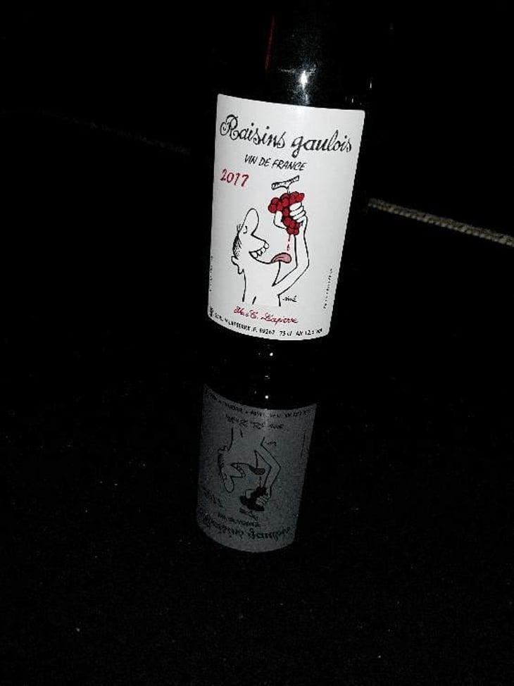 Raisins Gaulois - Domaine Marcel Lapierre - Mathieu & Camille Lapierre 