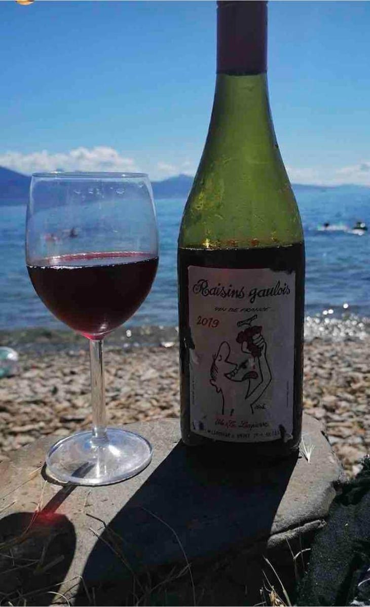 Raisins Gaulois - Domaine Marcel Lapierre - Mathieu & Camille Lapierre 