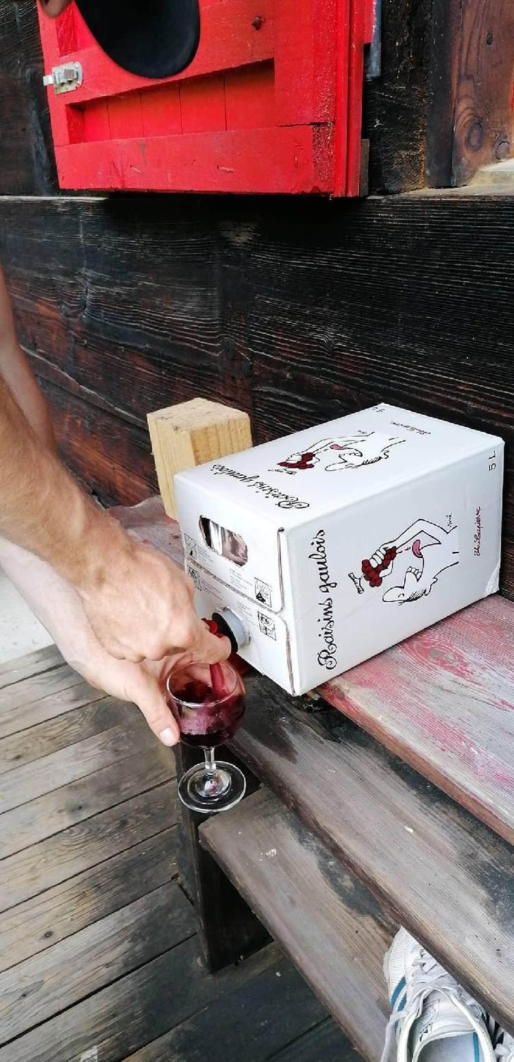 Raisins Gaulois - Domaine Marcel Lapierre - Mathieu & Camille Lapierre 