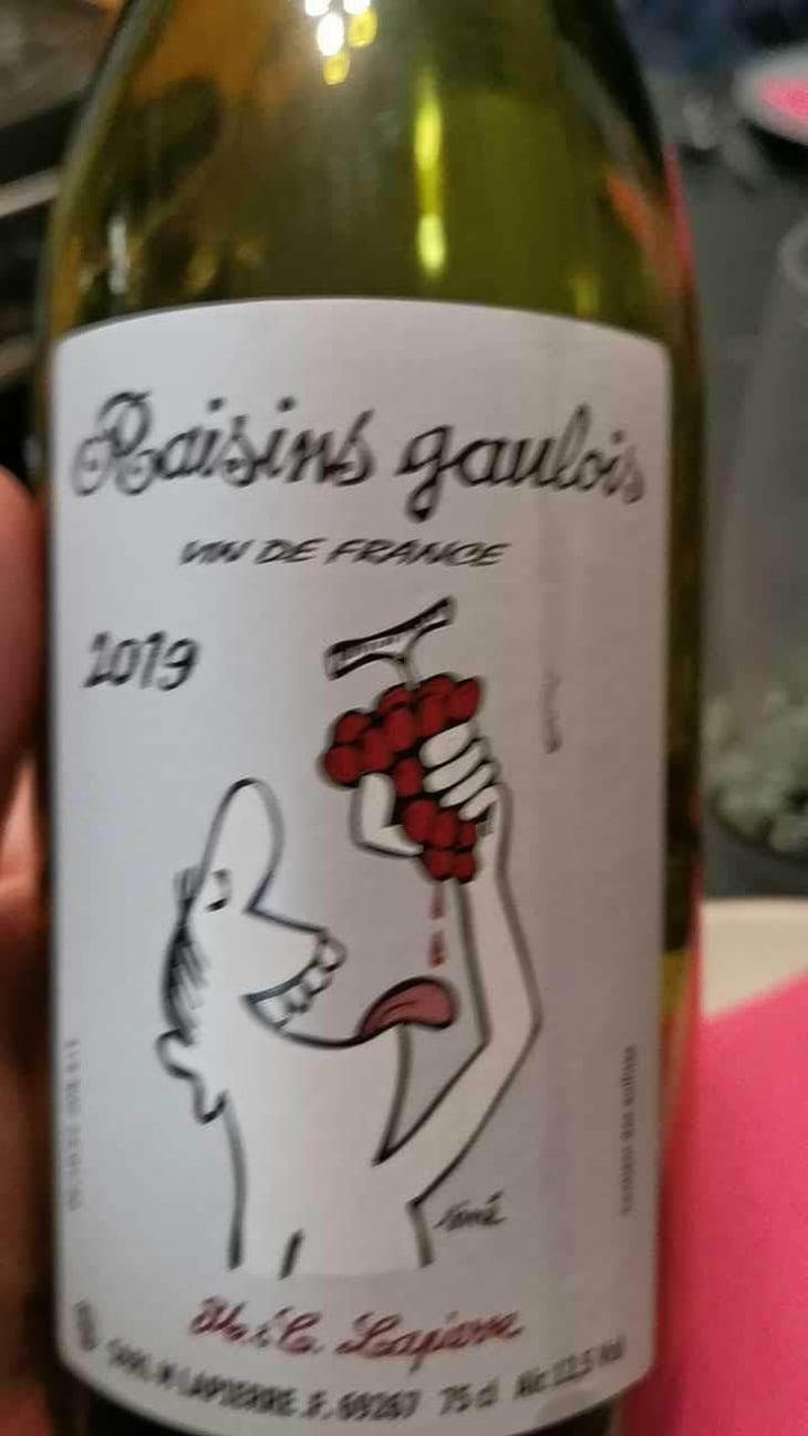 Raisins Gaulois - Domaine Marcel Lapierre - Mathieu & Camille Lapierre 
