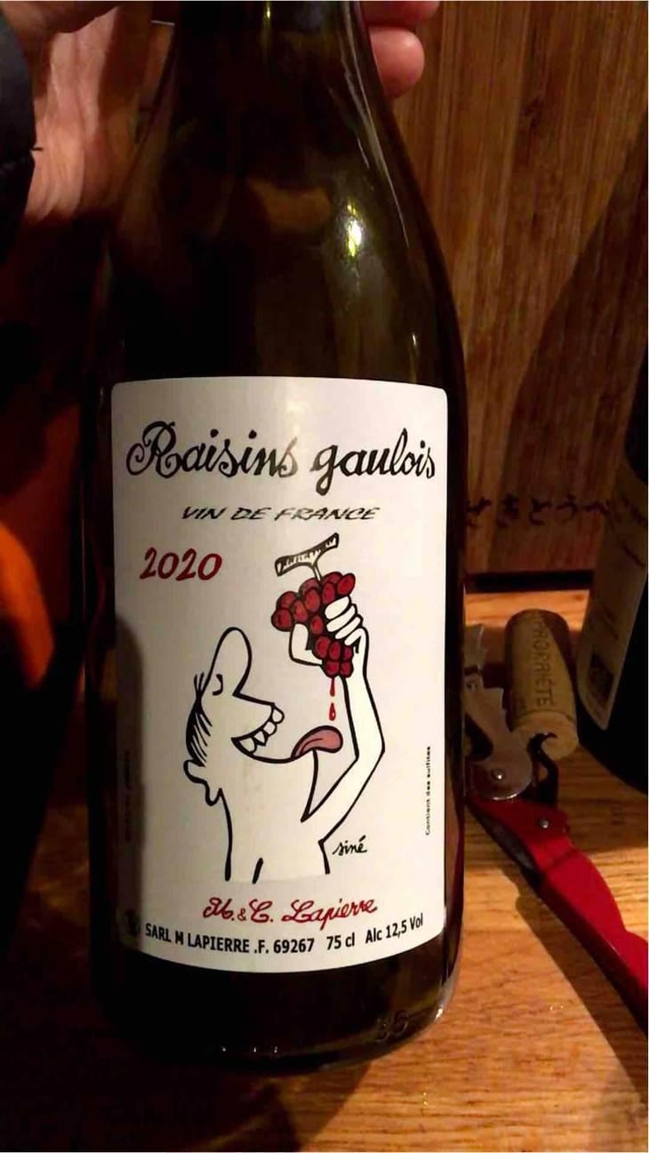 Raisins Gaulois - Domaine Marcel Lapierre - Mathieu & Camille Lapierre 