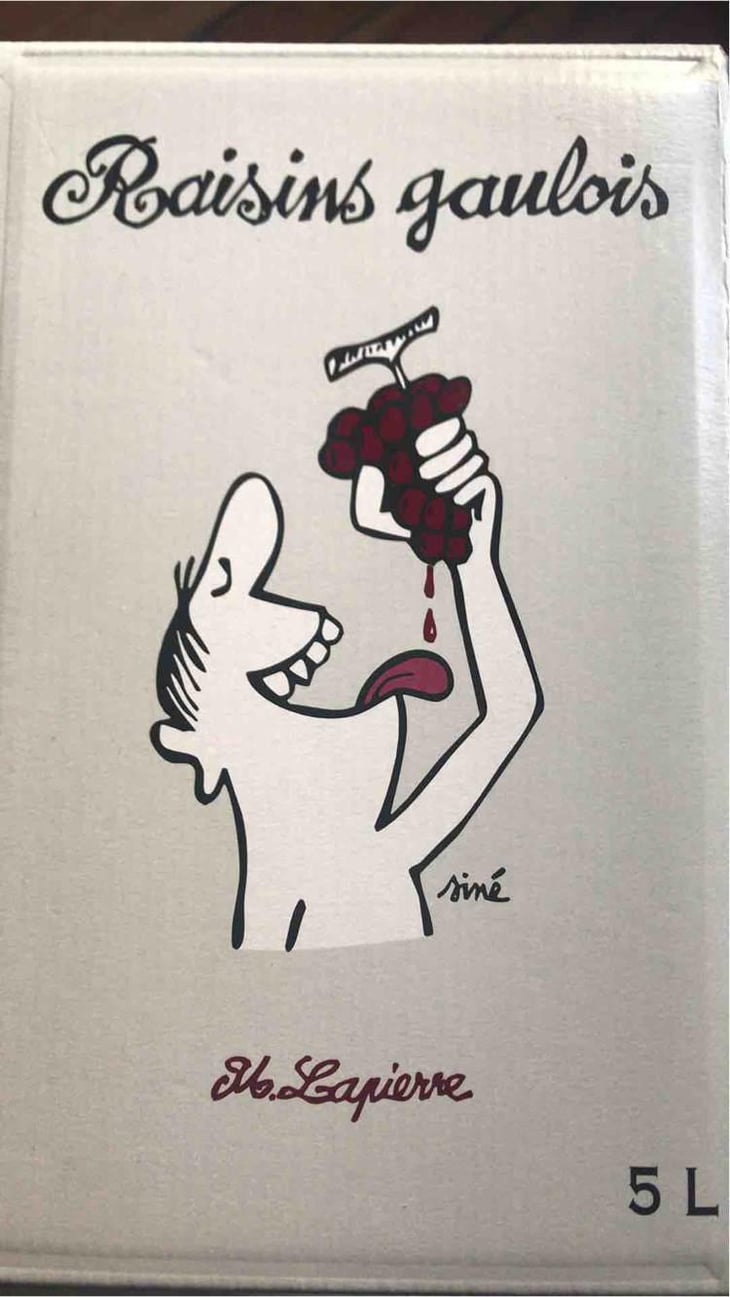 Raisins Gaulois - Domaine Marcel Lapierre - Mathieu & Camille Lapierre 