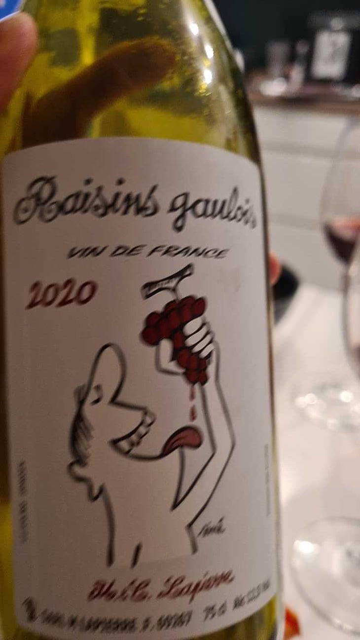 Raisins Gaulois - Domaine Marcel Lapierre - Mathieu & Camille Lapierre 