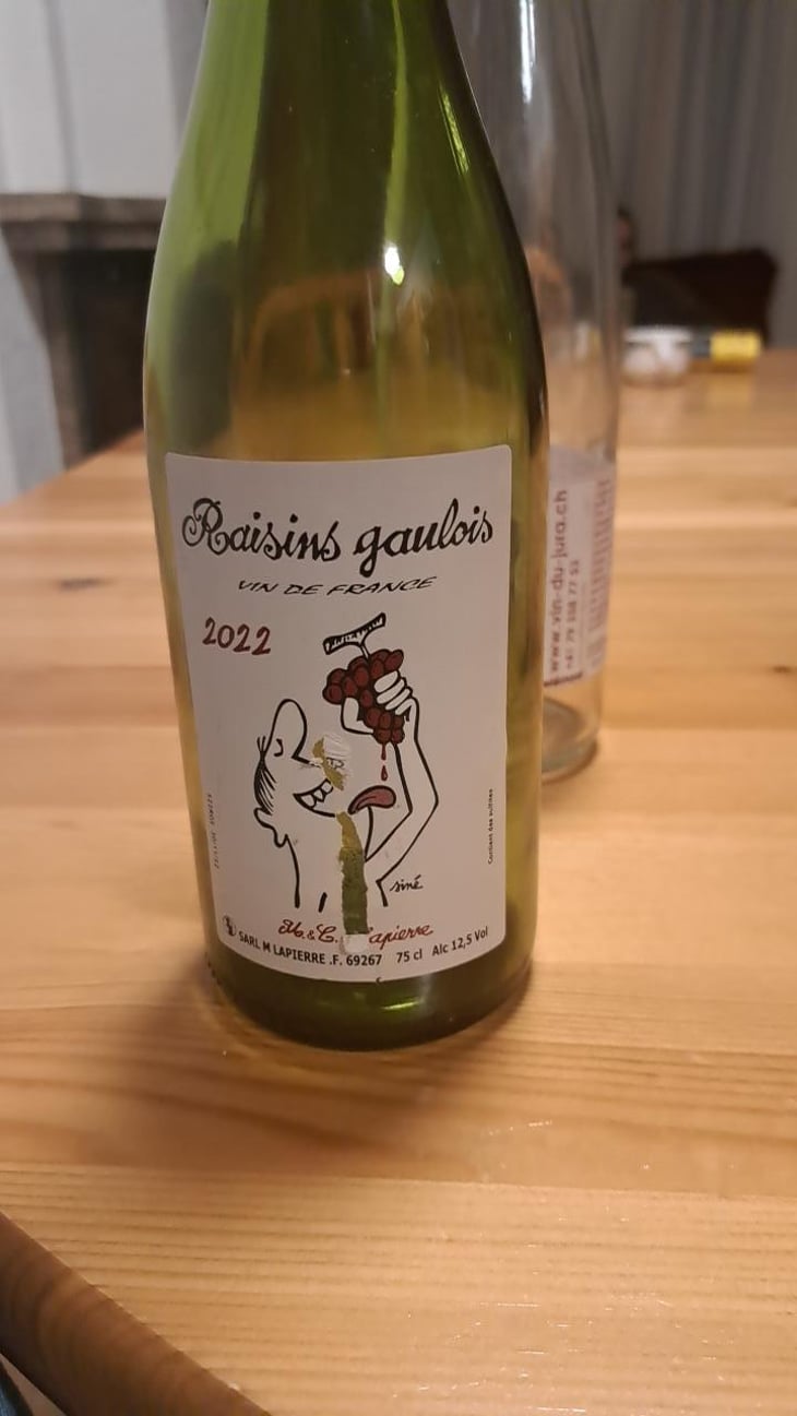 Raisins Gaulois - Domaine Marcel Lapierre - Mathieu & Camille Lapierre 