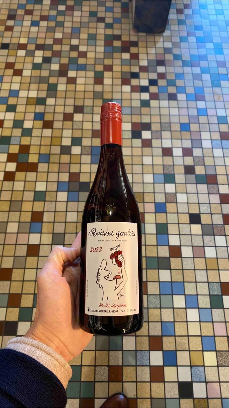 Raisins Gaulois - Domaine Marcel Lapierre - Mathieu & Camille Lapierre 