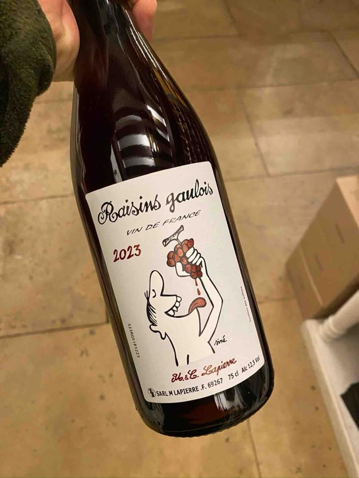 Raisins Gaulois - Domaine Marcel Lapierre - Mathieu & Camille Lapierre 