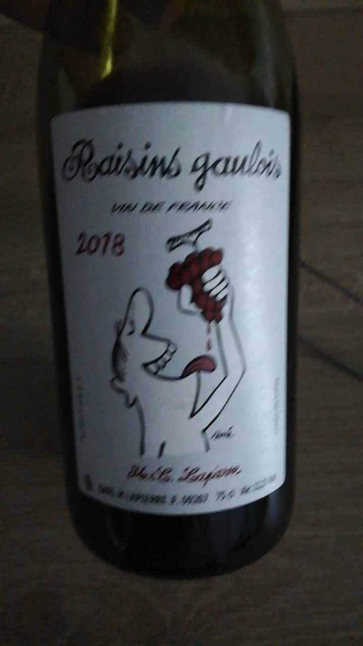 Raisins Gaulois - Domaine Marcel Lapierre - Mathieu & Camille Lapierre 