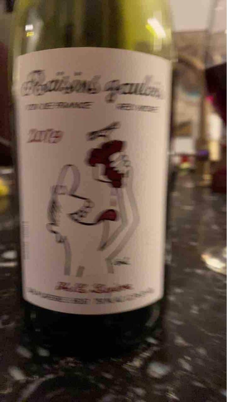 Raisins Gaulois - Domaine Marcel Lapierre - Mathieu & Camille Lapierre 