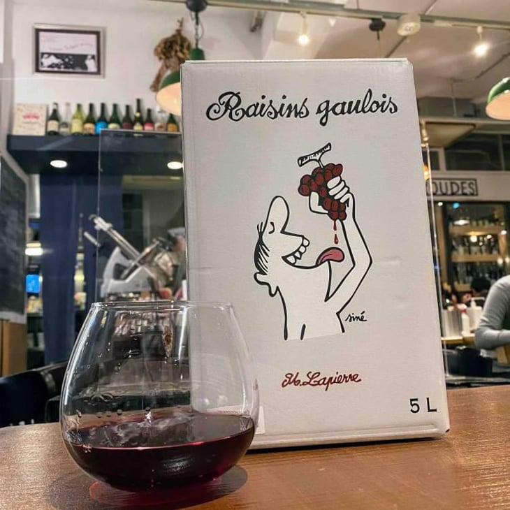 Raisins Gaulois - Domaine Marcel Lapierre - Mathieu & Camille Lapierre 