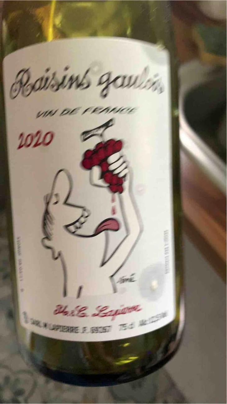Raisins Gaulois - Domaine Marcel Lapierre - Mathieu & Camille Lapierre 