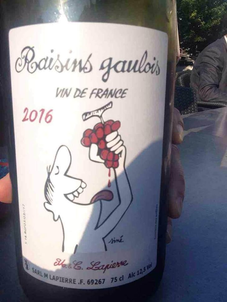 Raisins Gaulois - Domaine Marcel Lapierre - Mathieu & Camille Lapierre 