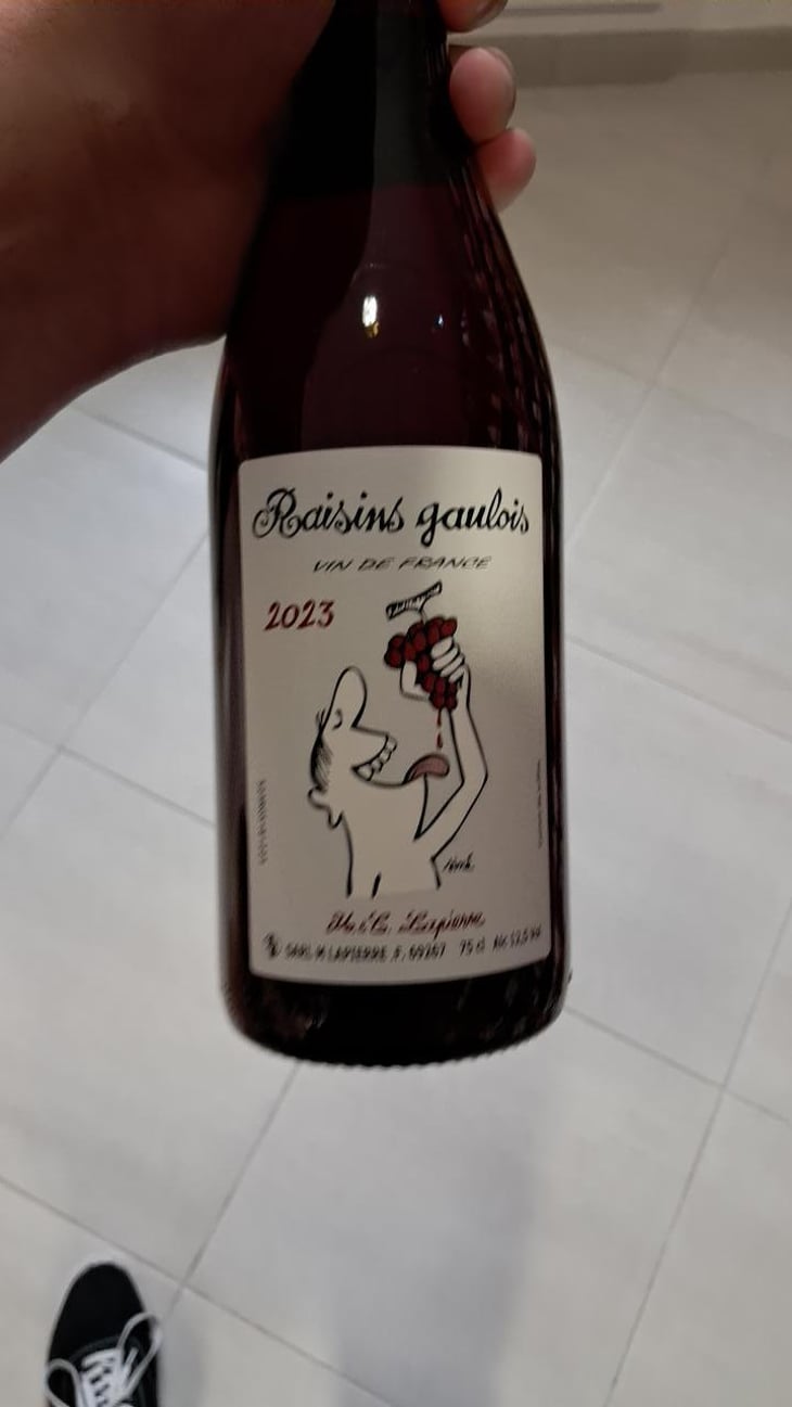 Raisins Gaulois - Domaine Marcel Lapierre - Mathieu & Camille Lapierre 