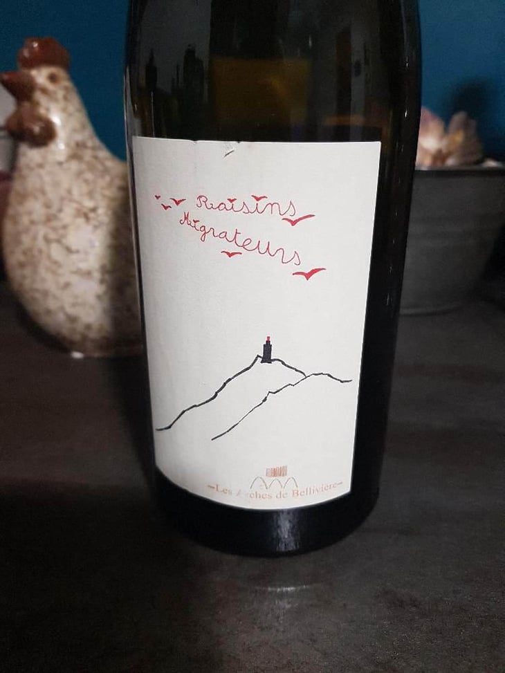 Raisins Migrateurs - Domaine de Bellivière - Clement et Laure Anne Nicolas 
