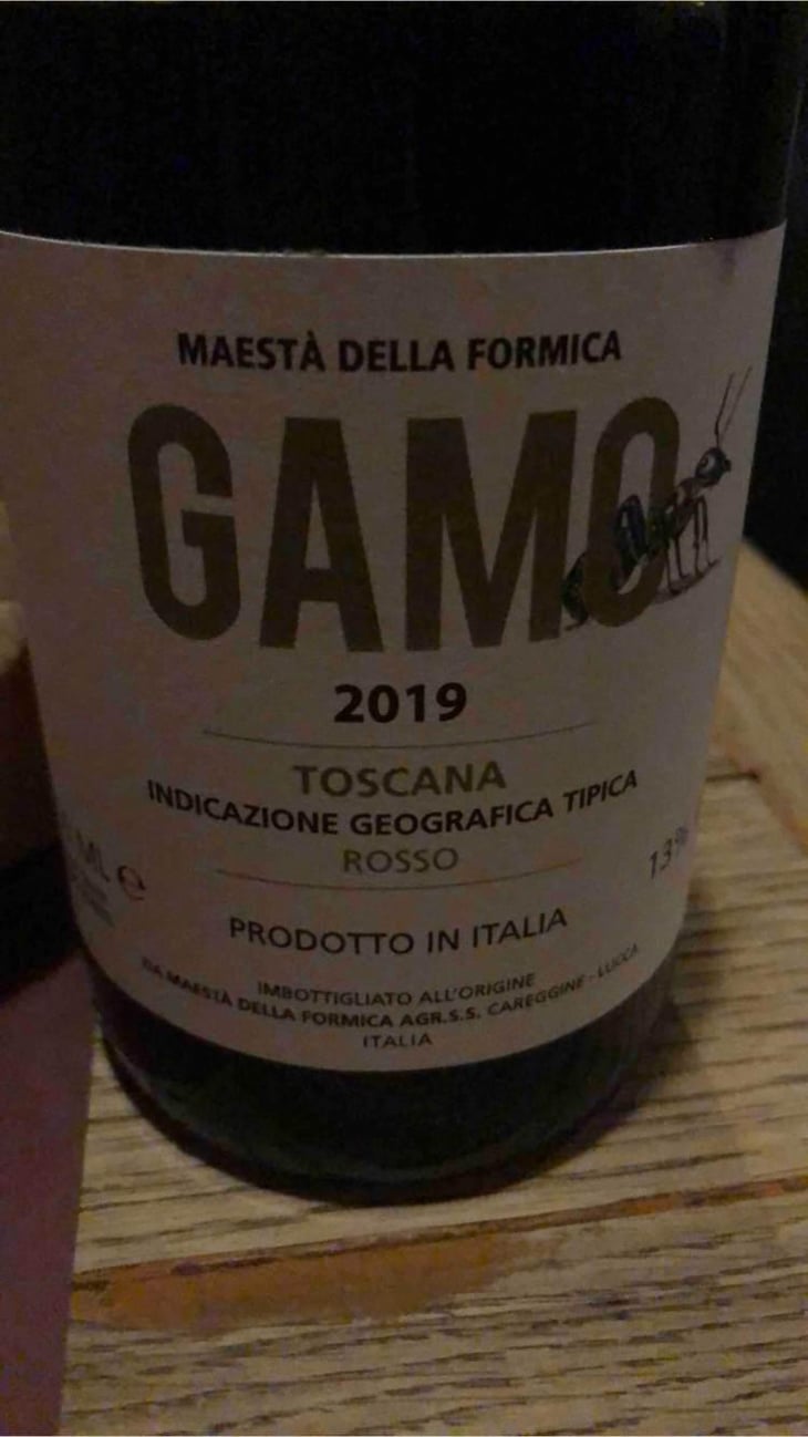 Gamo - Maestà Della Formica - Andrea Elmi, Gian Luca Guidi & Marco Raffaelli 