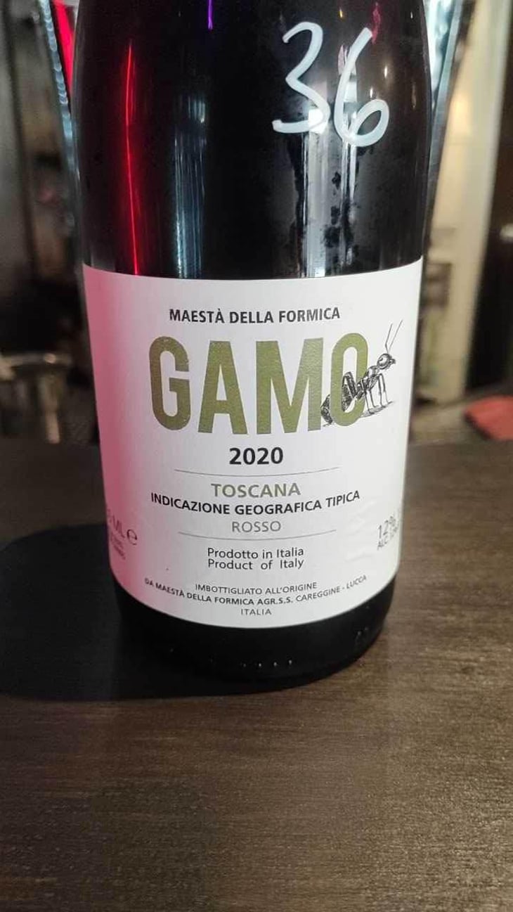 Gamo - Maestà Della Formica - Andrea Elmi, Gian Luca Guidi & Marco Raffaelli 