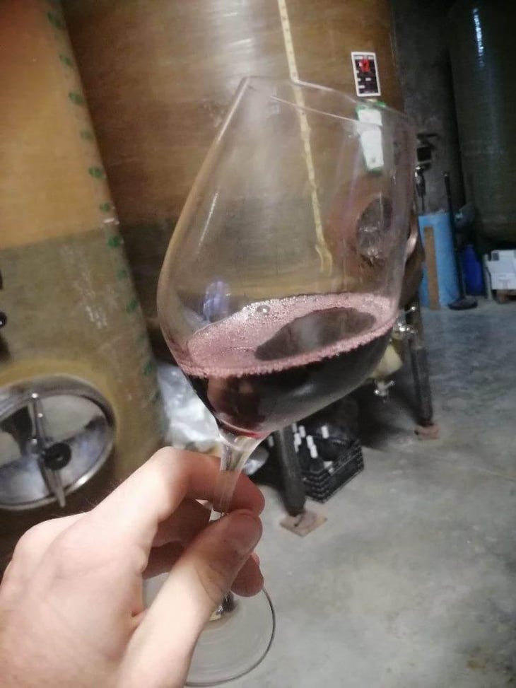 Rapatel - Domaine de Rapatel - Gérard Eyraud 