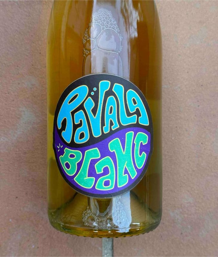 Ravala Blanc - Raisin Sauvage - Emilien Revers 