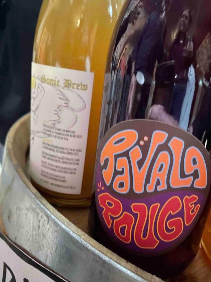 Ravala Express Rouge - Raisin Sauvage - Emilien Revers 