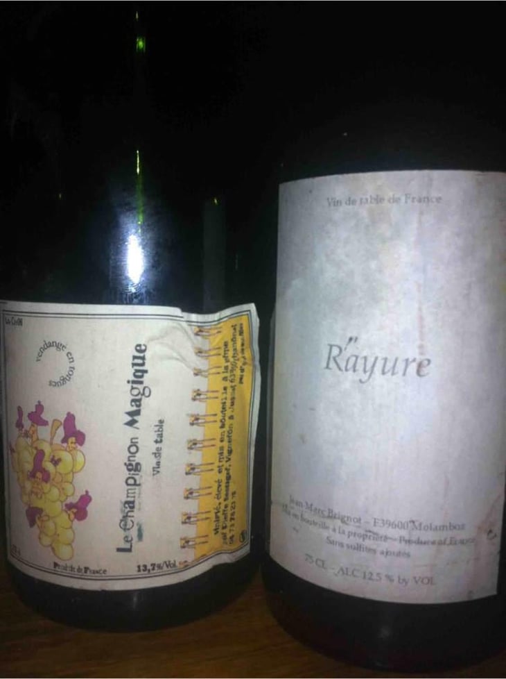 Rayure - Jean-Marc Brignot / Vinibrato - Jean-Marc Brignot 